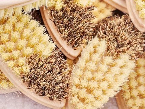 Coloured brushes Stock Photos