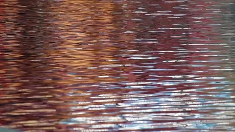 Coloured Buildings Water Reflections Stock Footage 70734083