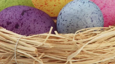 Coloured eggs in Easter nest Video stock 8572047