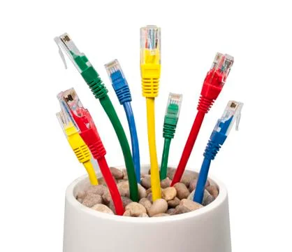 Coloured Ethernet Network Cables Growing in a Flower-pot Foto stock
