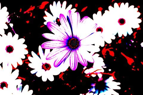 Coloured flowers in spring Stock Photos