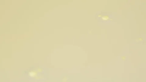 Coloured Inks In Motion Stock Footage 126916013