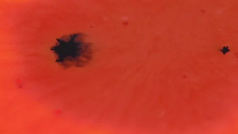 Coloured Inks In Motion Stock Footage 126927303