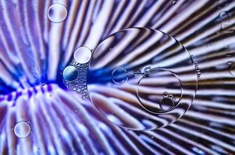 Coloured lines Stock Photos