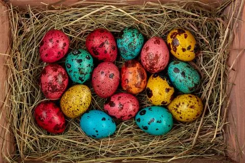 Coloured painted quail Easter eggs Stock Photos