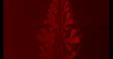 Coloured Smoke Stock Footage 41535265