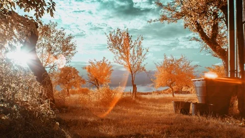 Colourful Abstract Time lapse of Trees and Clouds. Stock Footage 90086813