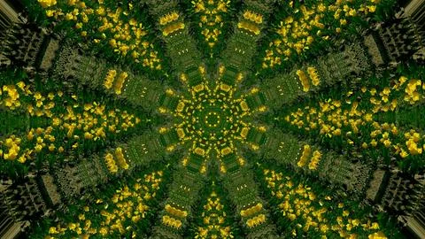Colourful background design, wallpaper design, phone wallpaper, computer wallpap 스톡 일러스트