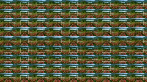 Colourful background design, wallpaper design, phone wallpaper, computer wallpap 스톡 일러스트
