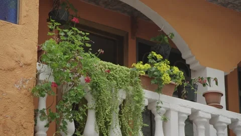 Colourful balcony with plants Видео 318084373