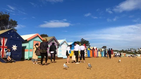 Colourful Bathing Boxes At Brighton Beach, Melbourne Stock Footage 113398949