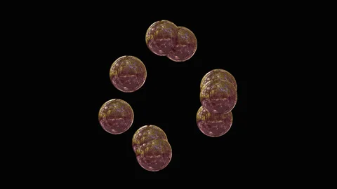 Colourful bubbles on the dark background Video stock 204148946