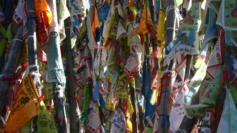 Colourful Buddhist prayer flags flutter in the gentle breeze. Stock Footage 284047556