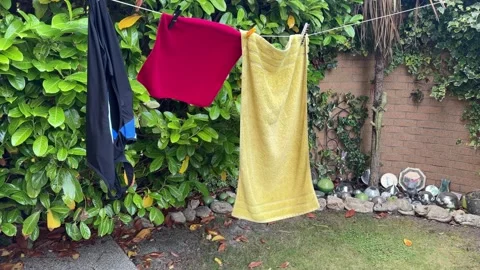 Colourful Clothes And Towels Drying On Washing Line In Back Garden Wind Stock Footage 338188149