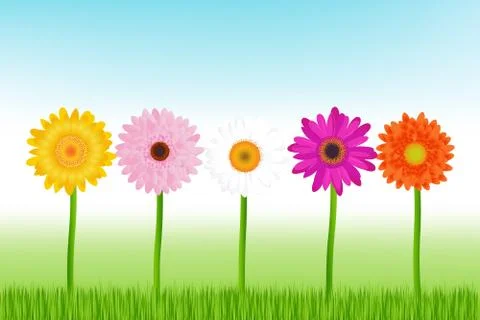 Colourful daisies Stock Illustration