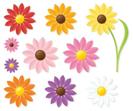 Colourful daisies Stock Illustration