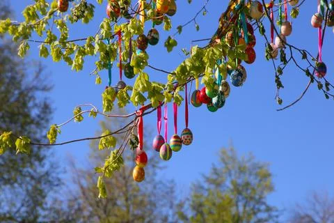 Colourful decorated Easter eggs on a linden tree Stock Photos