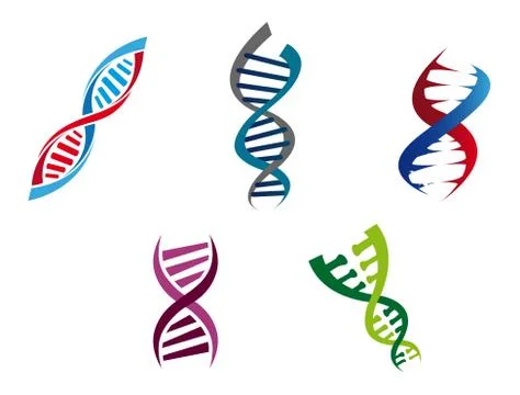 Colourful dna strands Illustration
