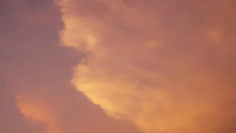 Colourful dramatic sky with birds flying. Stock Footage 271204042