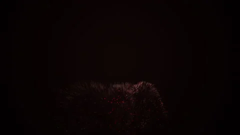 Colourful dust explosion on black background. Stock Footage 131158724