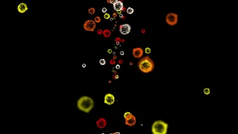 Colourful dust particles motion graphics with night background Stock Footage 250950267