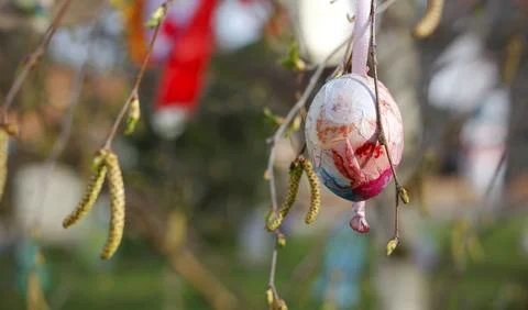 Colourful Easter egg decorated by a child hanging on birch branches Stock Photos