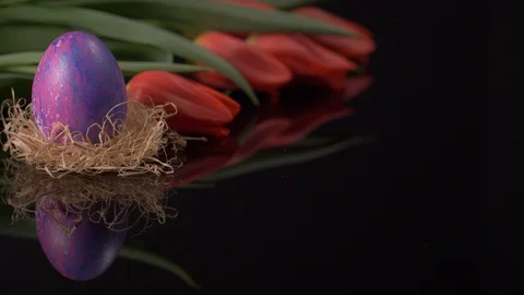 Colourful Easter Egg Panning on Black Table, Red Tulips Background Video stock 129070777