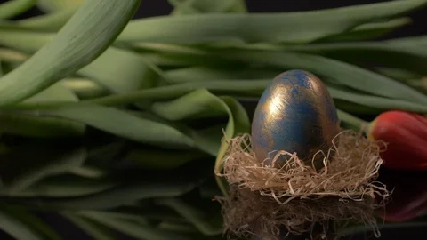 Colourful Easter Egg Panning on Red Tulips Background. Easter Video stock 129071257