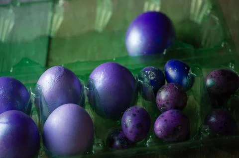 Colourful easter eggs. Colored eggs purple. Holidays, spring Stock Photos