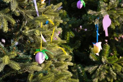 Colourful easter eggs hanging on tree Stock Photos