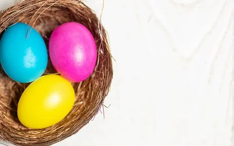 Colourful Easter eggs in a nest on a plain background. Stock Photos