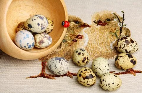 Colourful easter eggs. Stock Photos