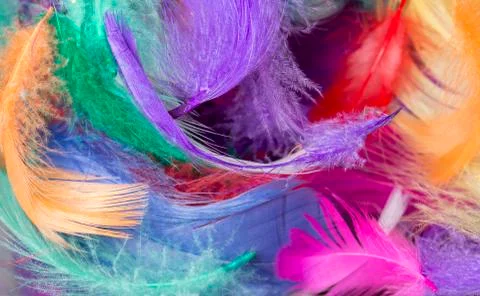 Colourful Easter Feathers Stock Photos
