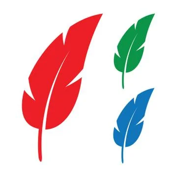 Colourful feathers 스톡 일러스트