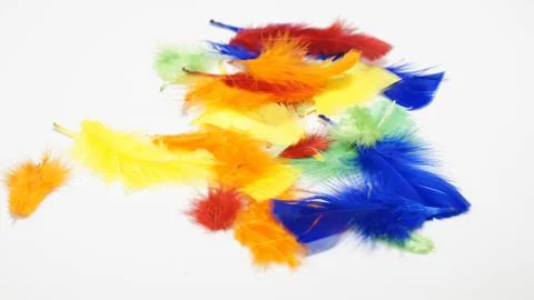 Colourful Feathers Stock Photos