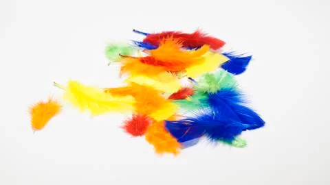 Colourful Feathers Stock Photos