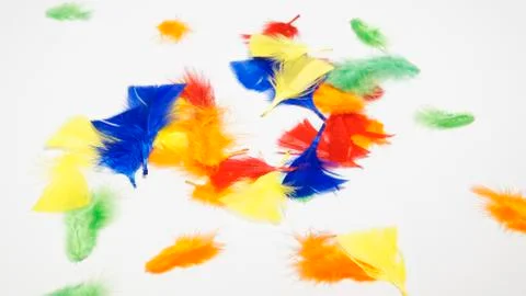 Colourful Feathers Stock Photos