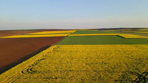 Colourful fields Video stock 153404515