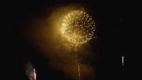 Colourful firework in dark sky at Diwali night Stock-Footage 218099691
