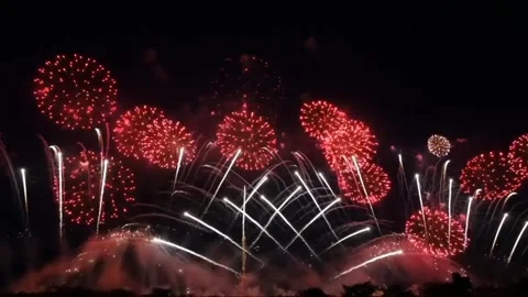Colourful firework in dark sky Stock Footage 218099313