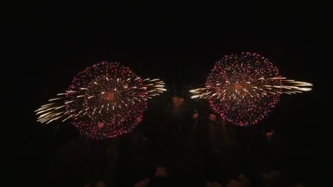 Colourful firework in dark sky Stock Footage 218099328