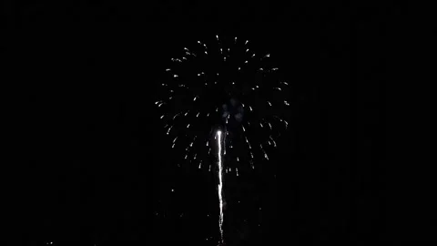 Colourful firework display set for celebration happy new year and merry christma Stock Footage 318411438