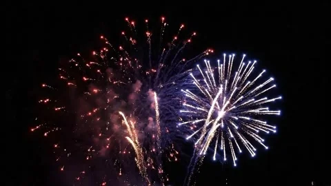 Colourful firework display set for celebration happy new year and merry christma Stock Footage 318411545
