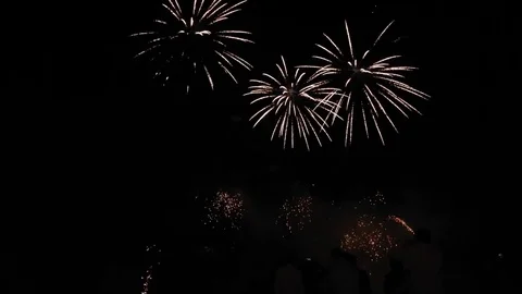 Colourful firework at night Stock Footage