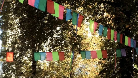 Colourful flags flying against the background of leaves Stock Footage 75073780