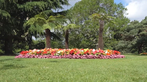 Colourful flower bed in a park. Stock Footage 110667932