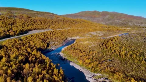 Colourful forest in a mountain valley Video stock 296186681