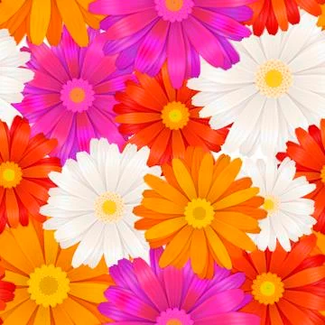 Colourful gerbera flowers seamless pattern Stock Illustration