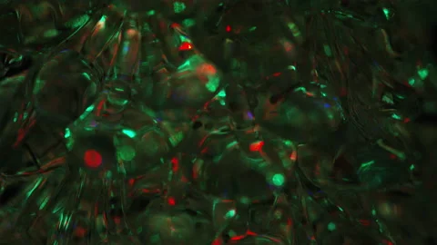 Colourful Glowing Sparkling Abstract Stock Footage 142073166