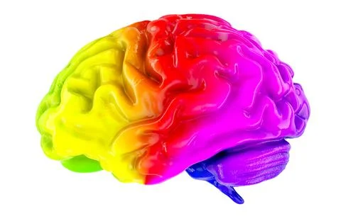 Colourful Human Brain, 3D rendering Stock Illustration